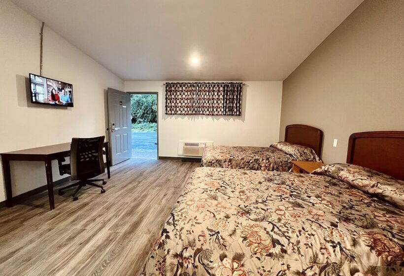 汽车旅馆  The Express Inn