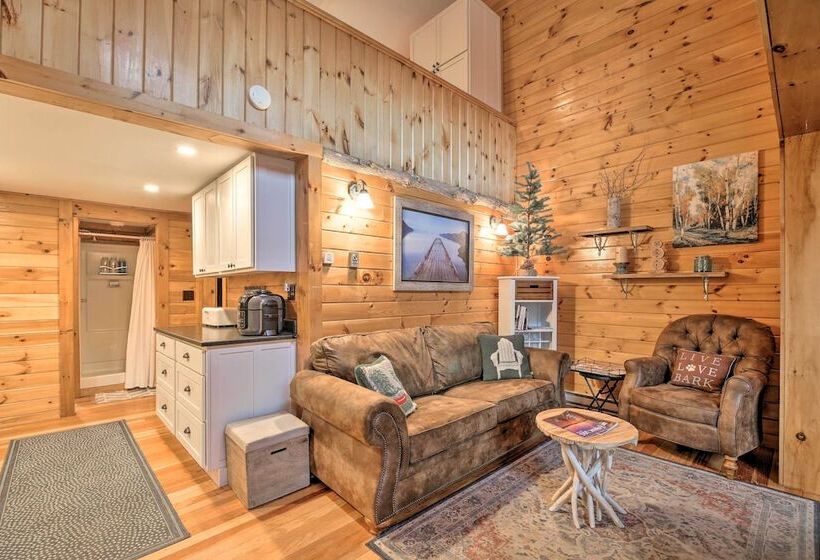 Pet Friendly Adirondack Cabin W/ On Site Lake