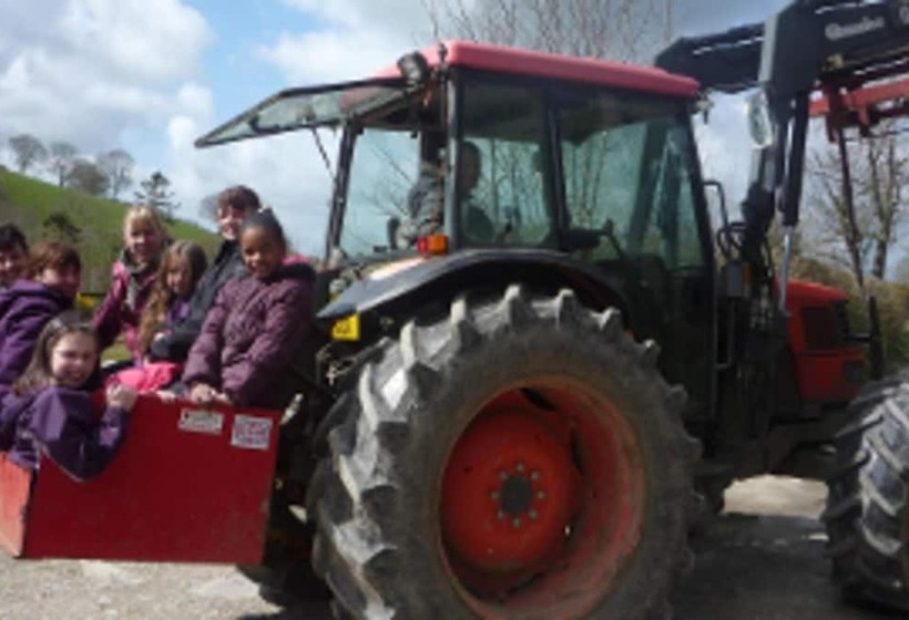 Relaxing Holidays In The Old Water Mill At Cwmiar