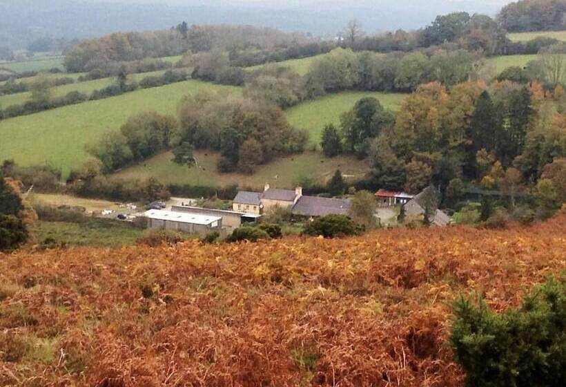 Relaxing Holidays In The Old Water Mill At Cwmiar