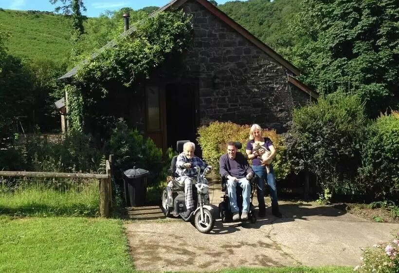 Relaxing Holidays In The Old Water Mill At Cwmiar