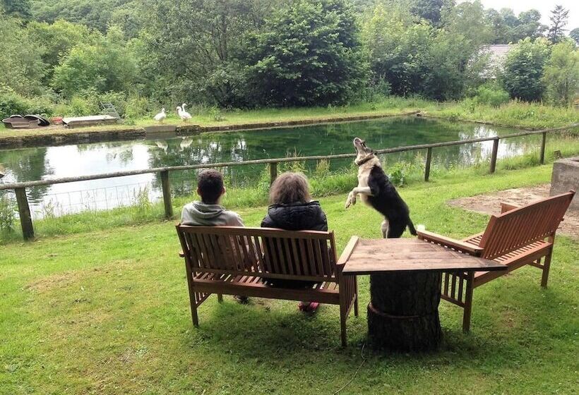 Relaxing Holidays In The Old Water Mill At Cwmiar