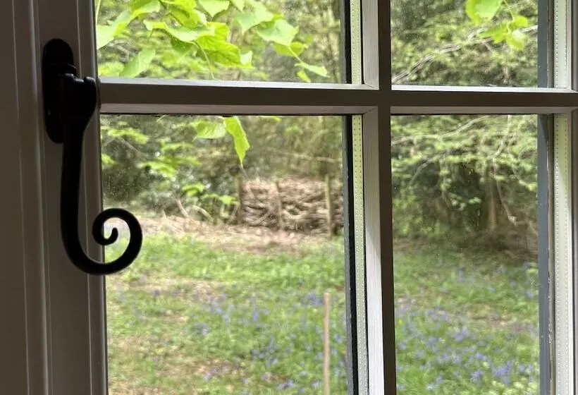 Residenssi Cornwall Woodland Dog Friendly Shepherd S Hut