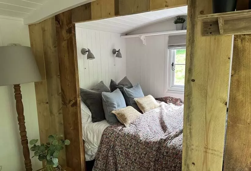 Residenssi Cornwall Woodland Dog Friendly Shepherd S Hut