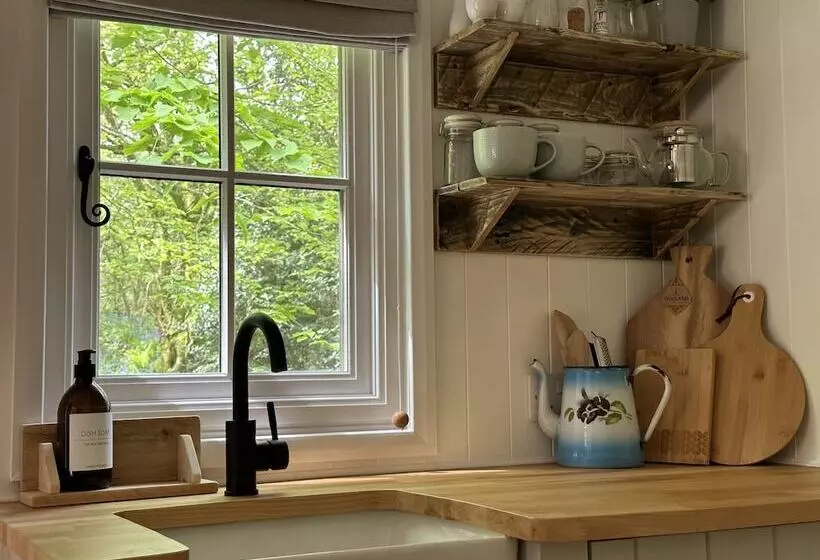 Residenssi Cornwall Woodland Dog Friendly Shepherd S Hut