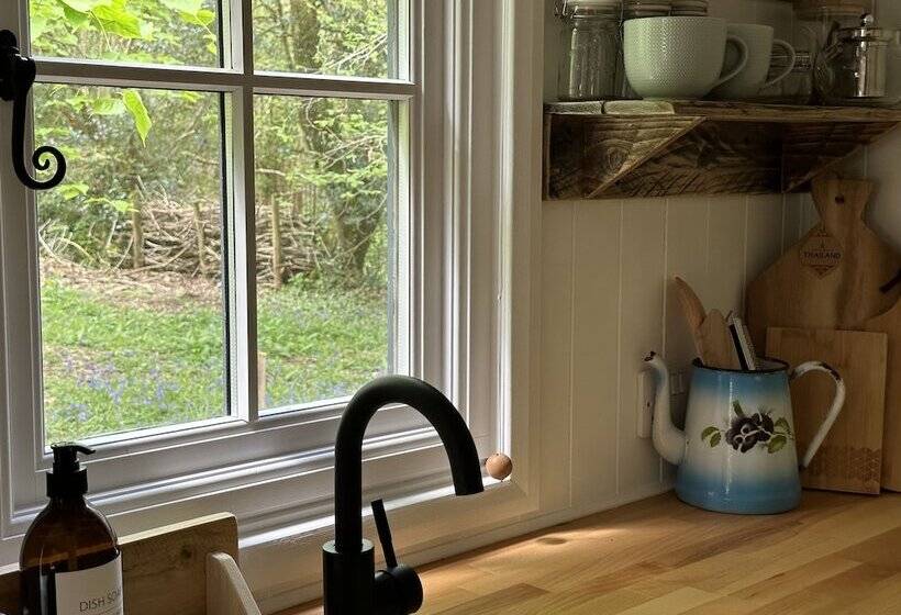 住所  Cornwall Woodland Dog Friendly Shepherd S Hut