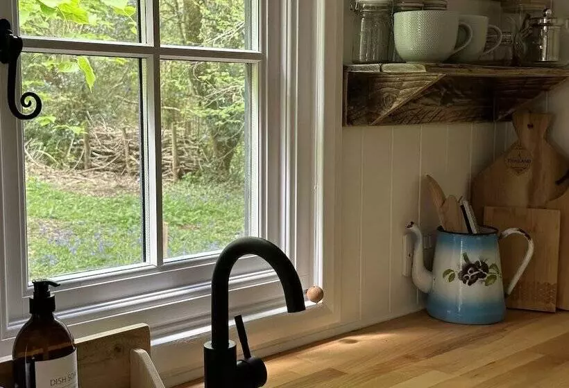 Residenssi Cornwall Woodland Dog Friendly Shepherd S Hut