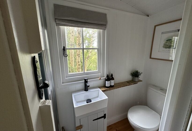 住所  Cornwall Woodland Dog Friendly Shepherd S Hut