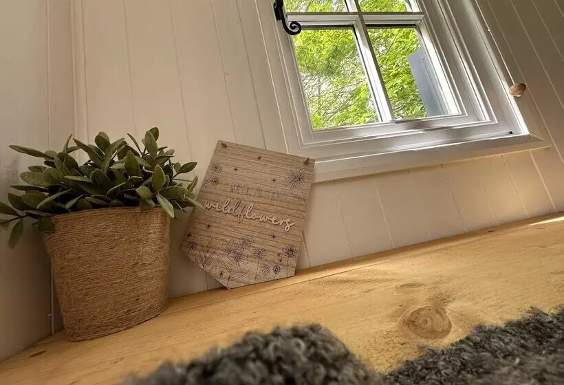 Residenssi Cornwall Woodland Dog Friendly Shepherd S Hut