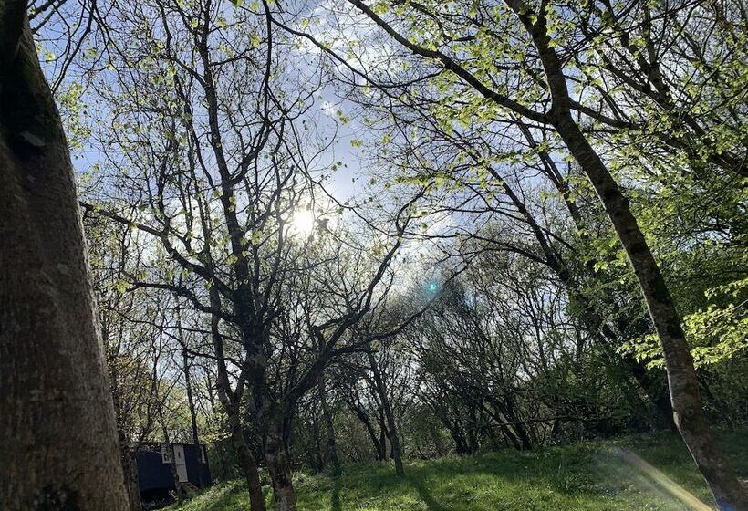 住所  Cornwall Woodland Dog Friendly Shepherd S Hut