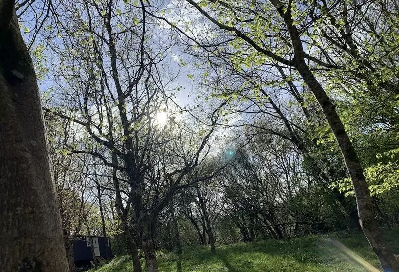 Residenssi Cornwall Woodland Dog Friendly Shepherd S Hut