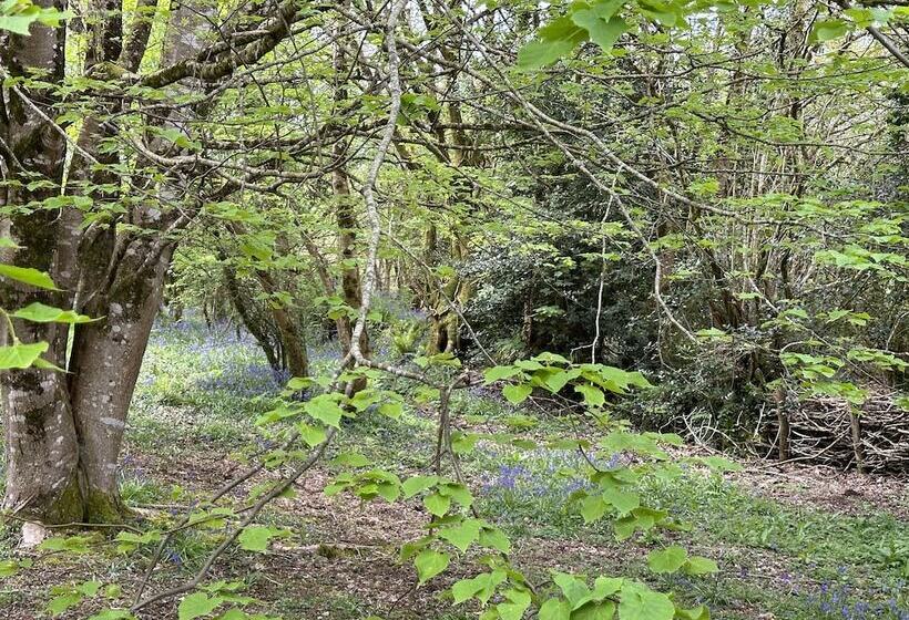 住所  Cornwall Woodland Dog Friendly Shepherd S Hut