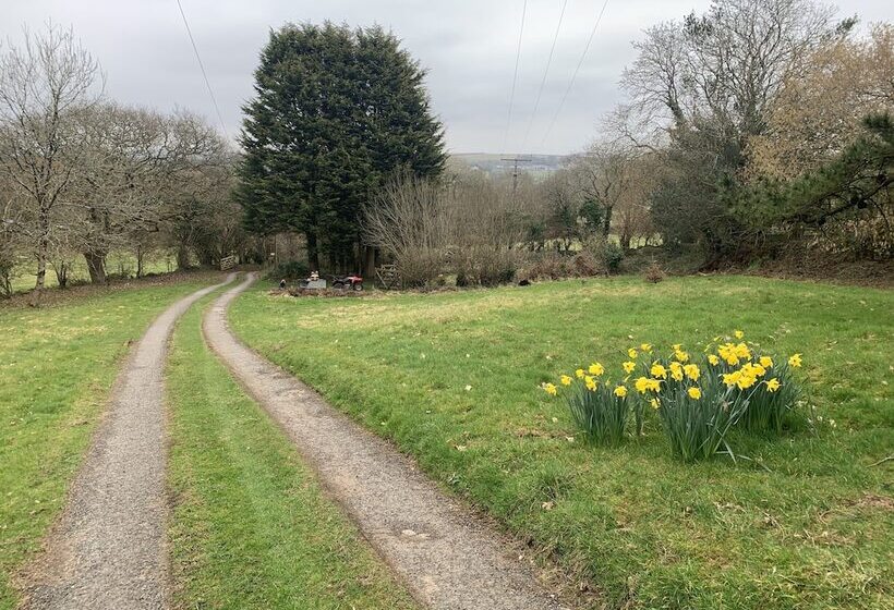 住所  Cornwall Woodland Dog Friendly Shepherd S Hut