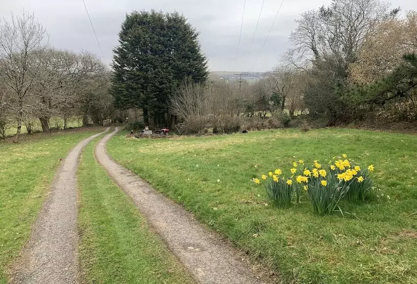 Residenssi Cornwall Woodland Dog Friendly Shepherd S Hut