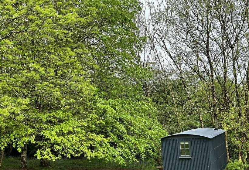 住所  Cornwall Woodland Dog Friendly Shepherd S Hut