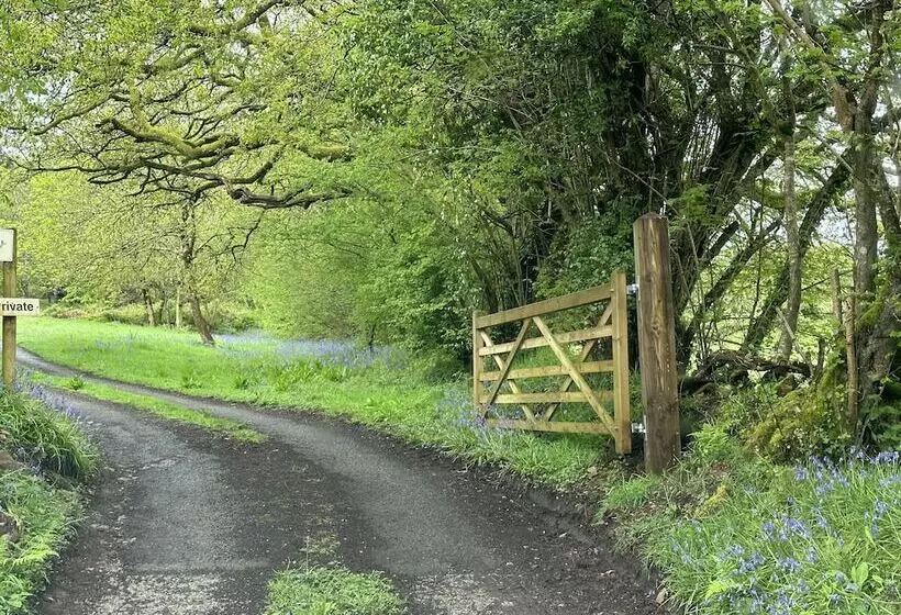 Residenssi Cornwall Woodland Dog Friendly Shepherd S Hut