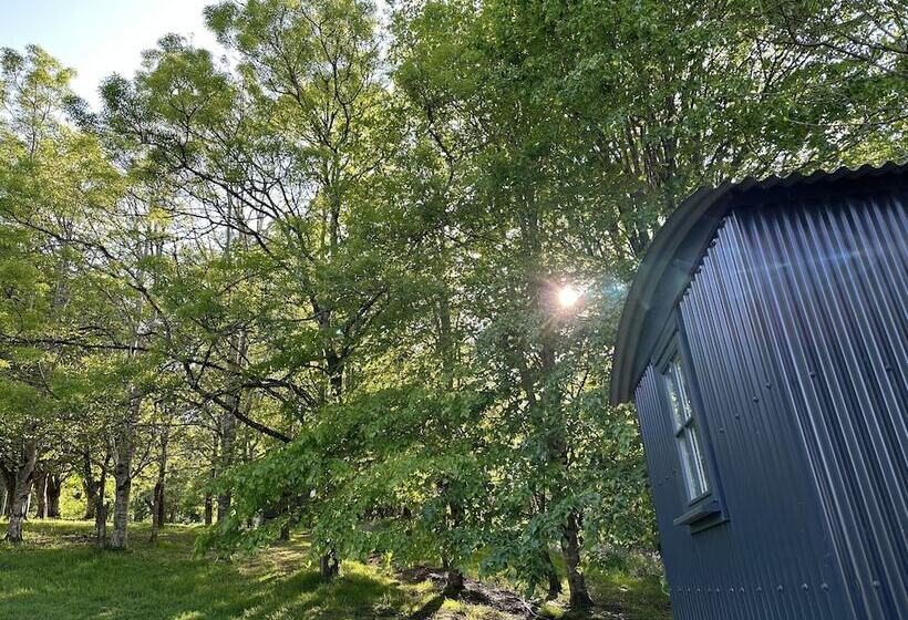 住所  Cornwall Woodland Dog Friendly Shepherd S Hut