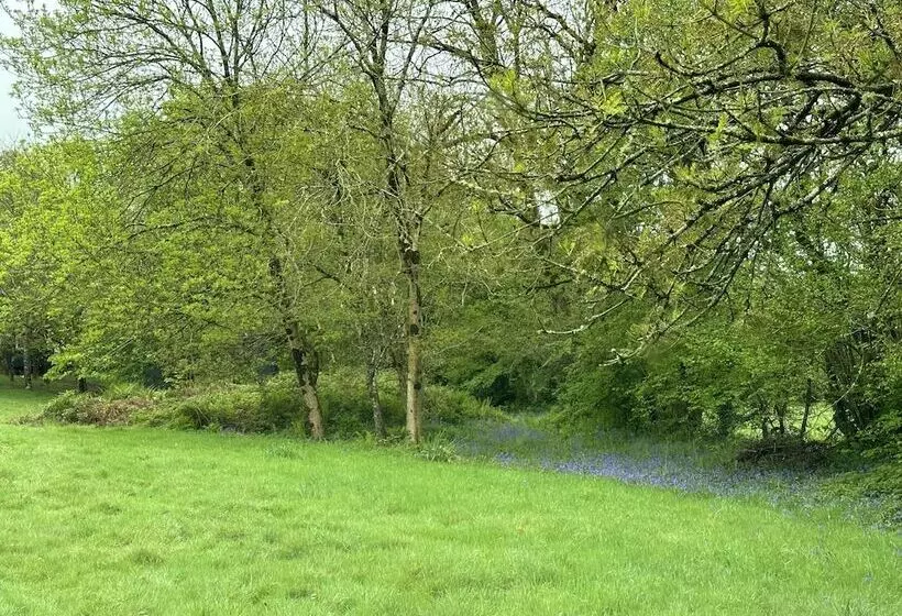 Residenssi Cornwall Woodland Dog Friendly Shepherd S Hut