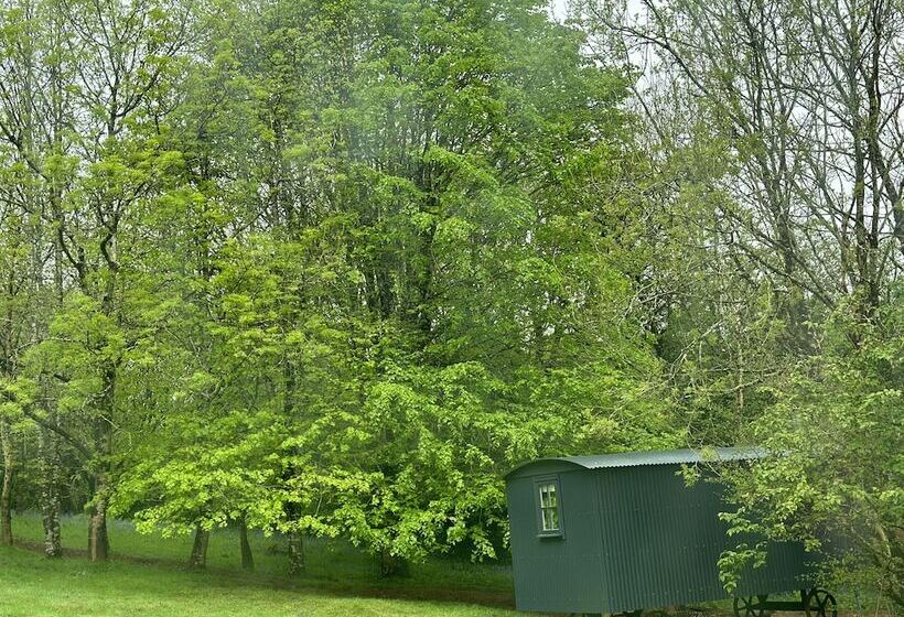 住所  Cornwall Woodland Dog Friendly Shepherd S Hut