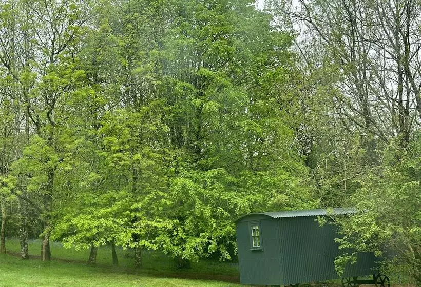 Residenssi Cornwall Woodland Dog Friendly Shepherd S Hut
