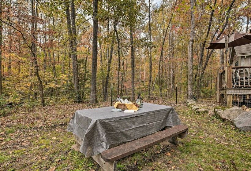 Restful Creekside Retreat By Table Rock State Park