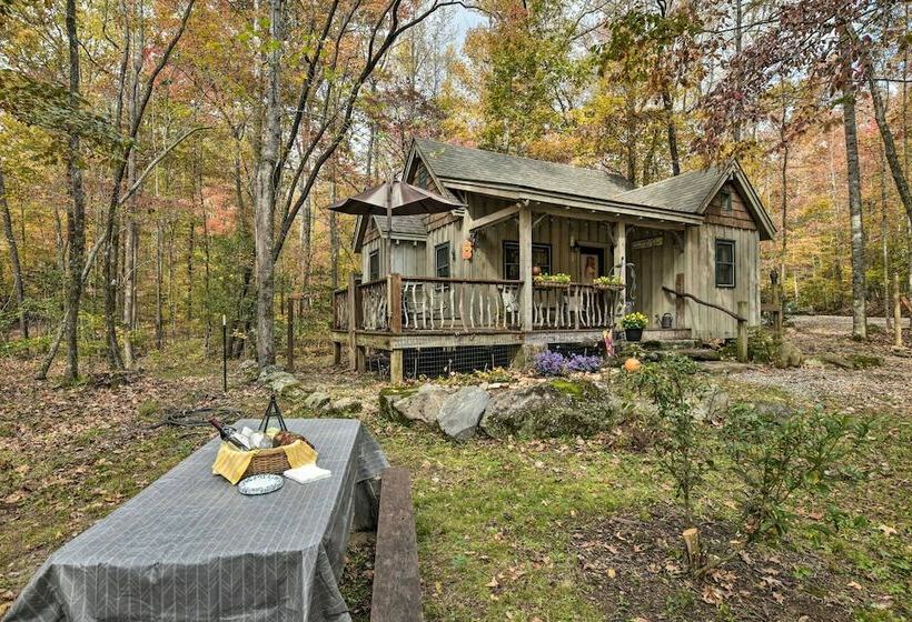 Restful Creekside Retreat By Table Rock State Park