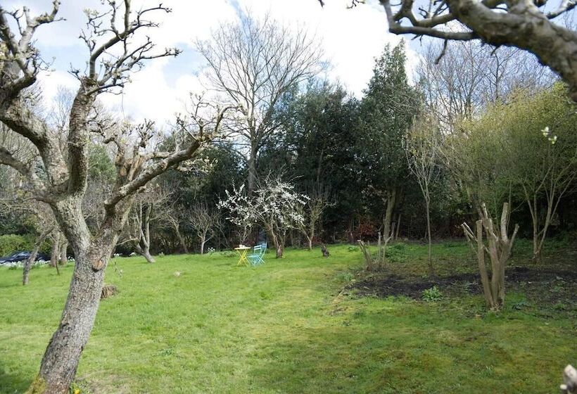 A Quirky Garden Building In An Orchard