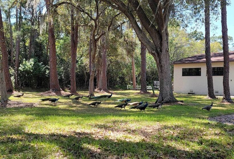 The Peacock Farm Largo Home + Outdoor Oasis!