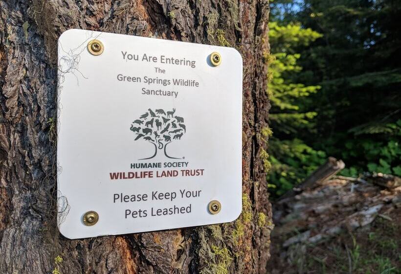 Ashland Cabin On 170 Acres W/ Mtn Views & Sauna!