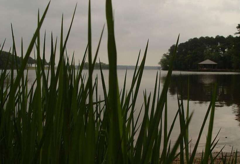 Frankston Home W/deck & Fishing On Lake Palestine!