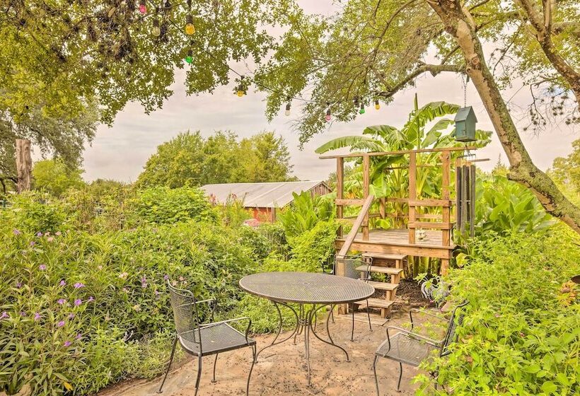 The Gathering Place Brenham Home On 6 Acres