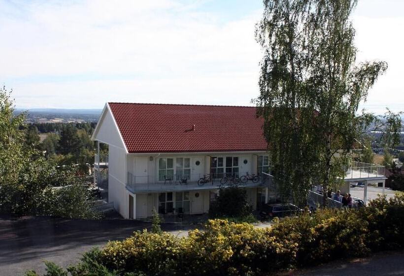 Отель Hedmarktoppen