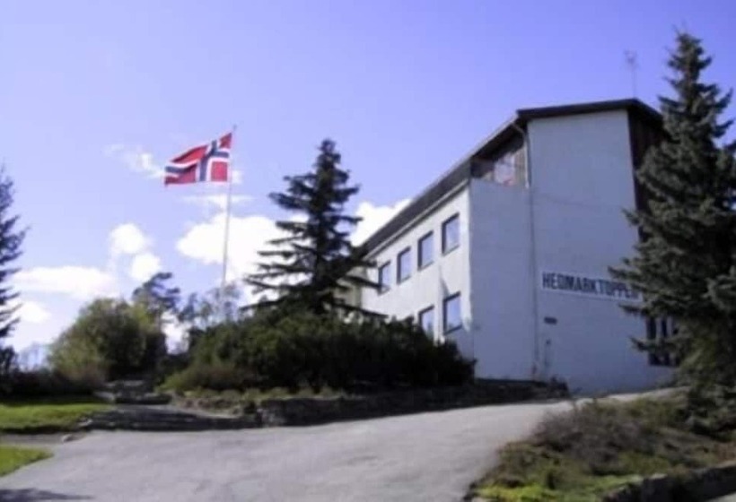 Отель Hedmarktoppen