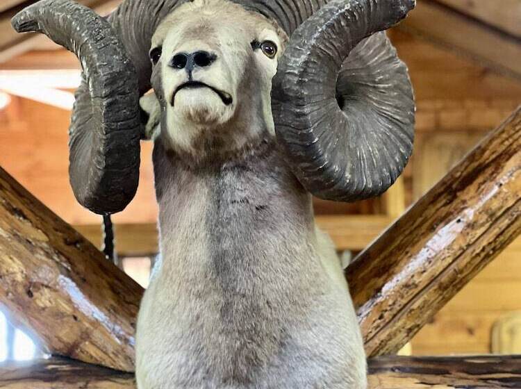 Indian Cabin Close To Alyeska