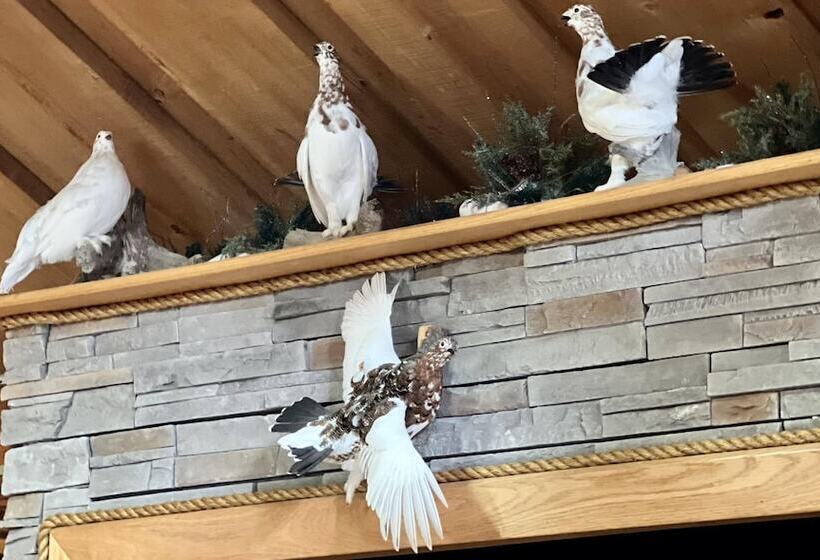 Indian Cabin Close To Alyeska