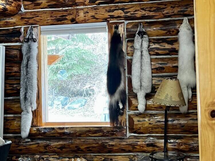 Indian Cabin Close To Alyeska