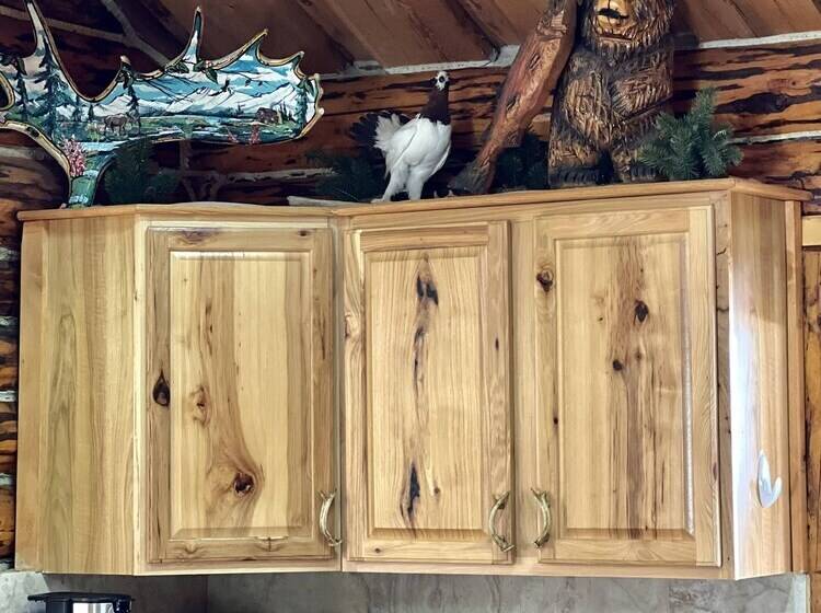 Indian Cabin Close To Alyeska