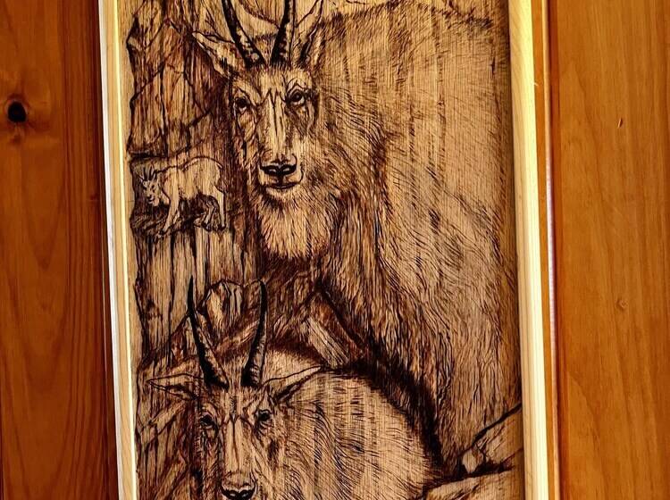 Indian Cabin Close To Alyeska