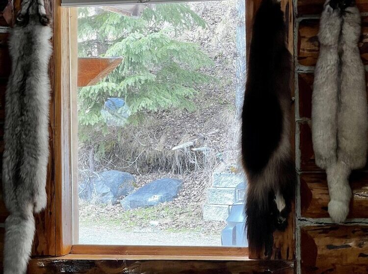 Indian Cabin Close To Alyeska
