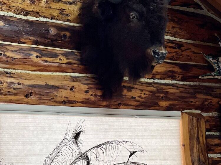 Indian Cabin Close To Alyeska