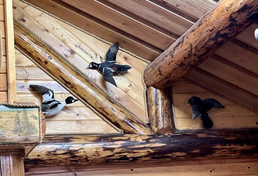 Indian Cabin Close To Alyeska