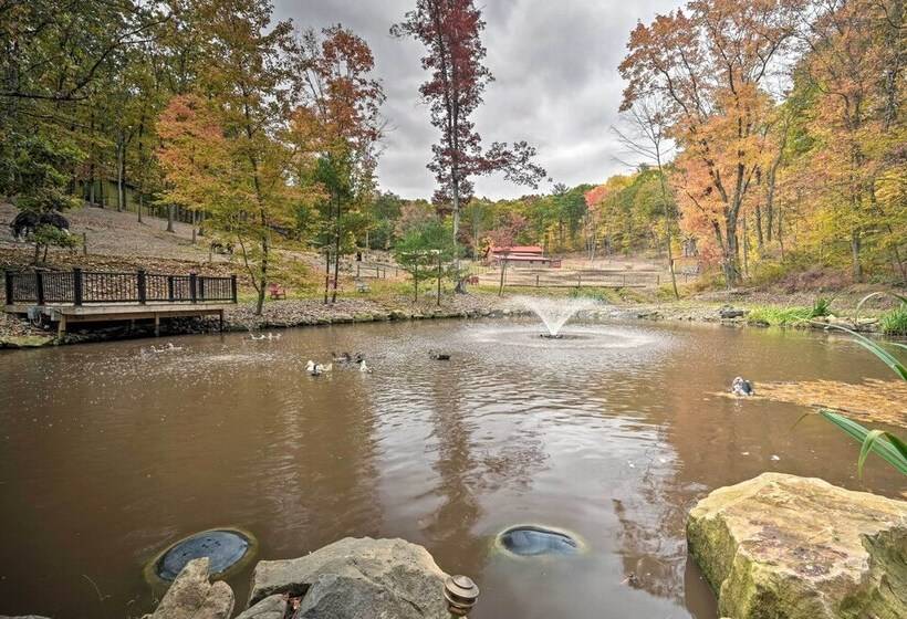 Lucas Mccain Cabin 5 Mi To Raystown Lake Launch!