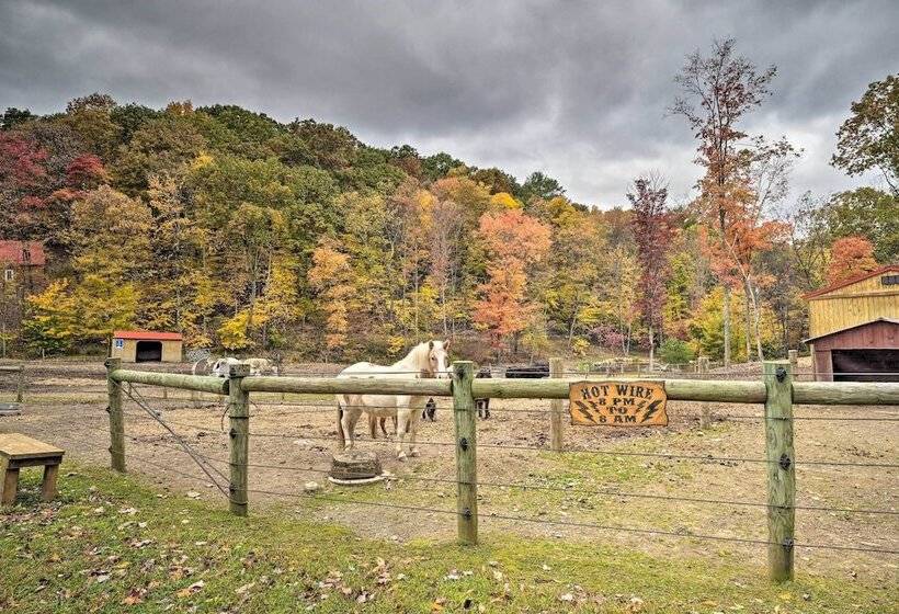 Lucas Mccain Cabin 5 Mi To Raystown Lake Launch!