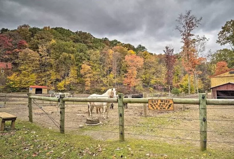Lucas Mccain Cabin 5 Mi To Raystown Lake Launch!