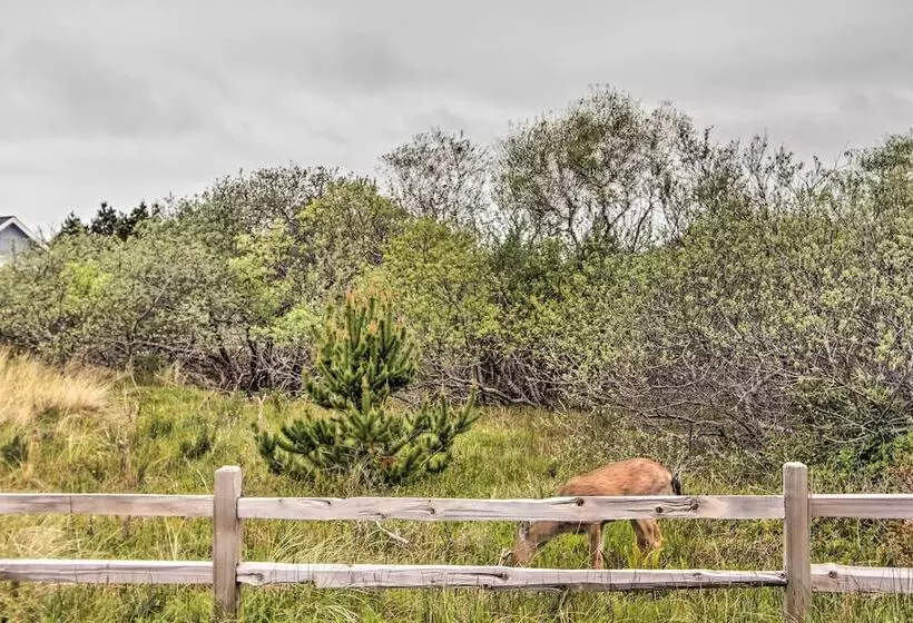 Ocean Shores House W/ Hot Tub   Walk To Beach