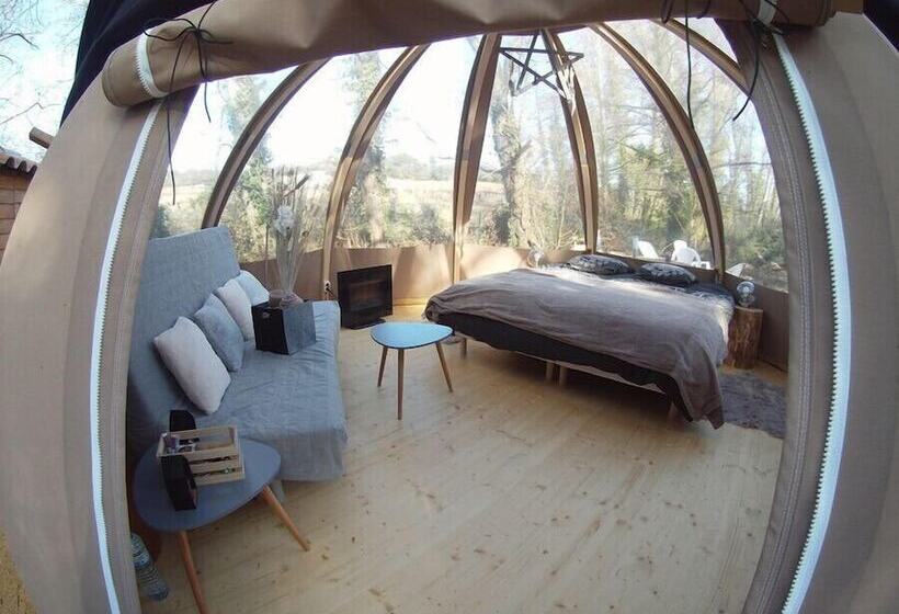 민박 Nuit étoilée