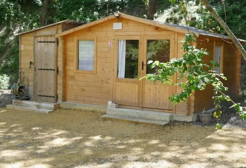 Aamiaismajoitus (B&B) Nuit étoilée