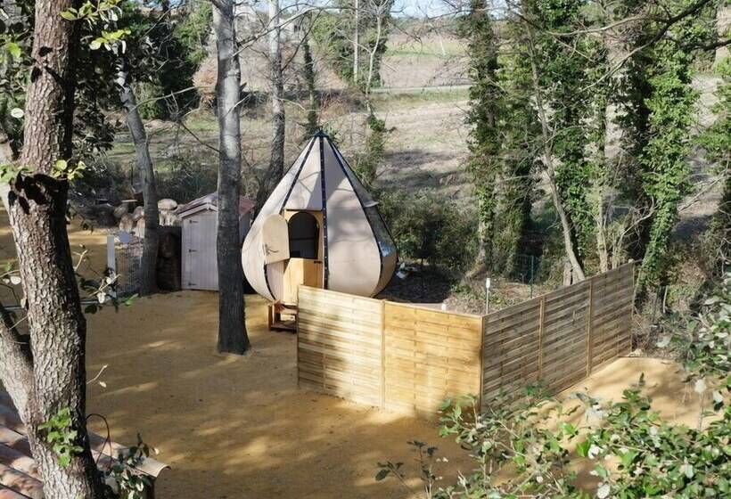 민박 Nuit étoilée