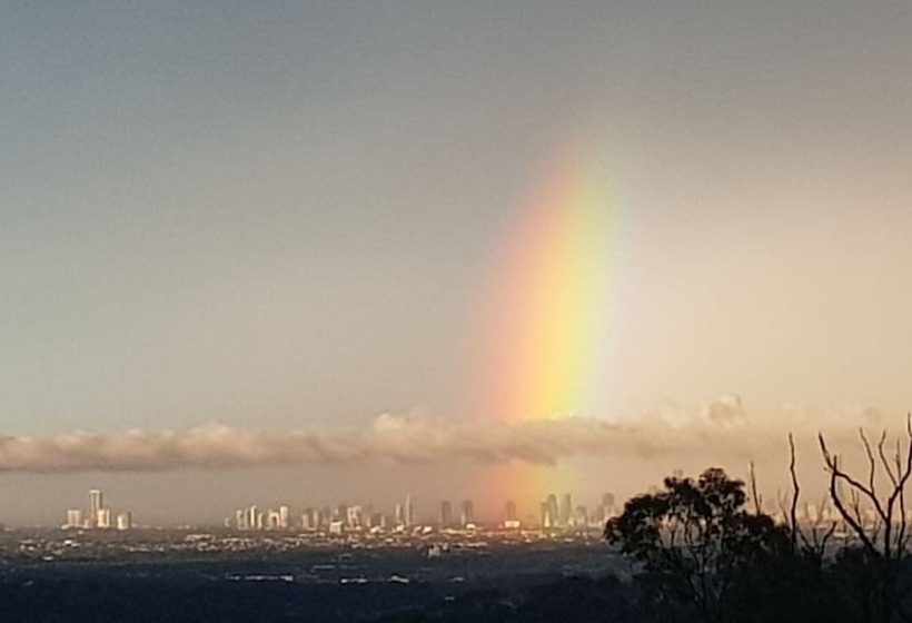 호텔 Gold Coast Tree Houses