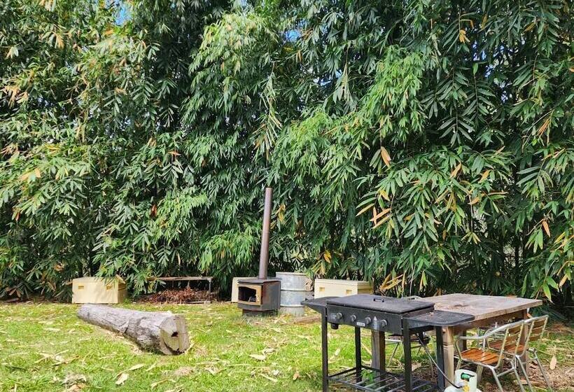 호텔 Gold Coast Tree Houses